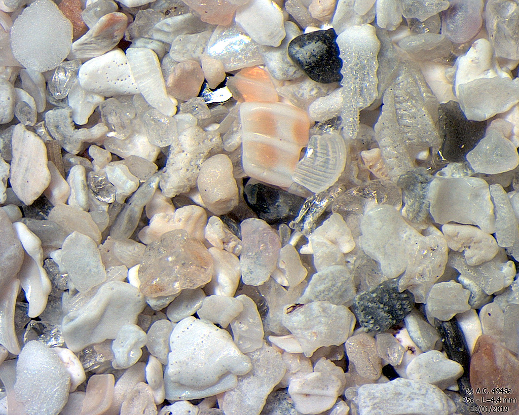 Ecosse - �le de Berneray - Plage c�te est