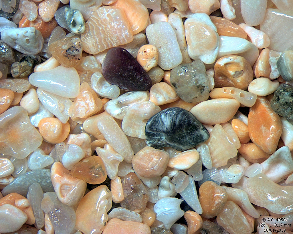 Ecosse - �le Harris - Plage de Scarista