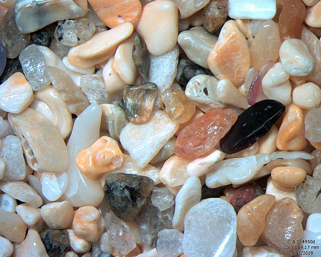 Ecosse - �le Harris - Plage de Scarista