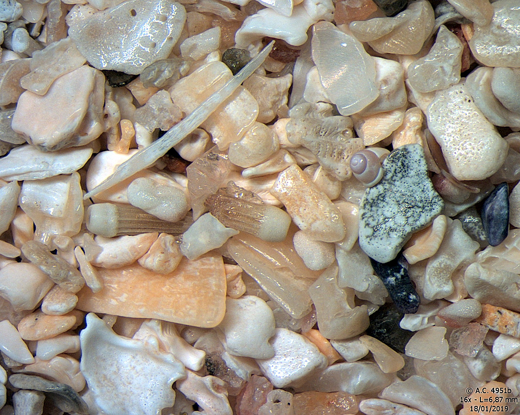 Ecosse - �le Lewis - Plage de Brenish