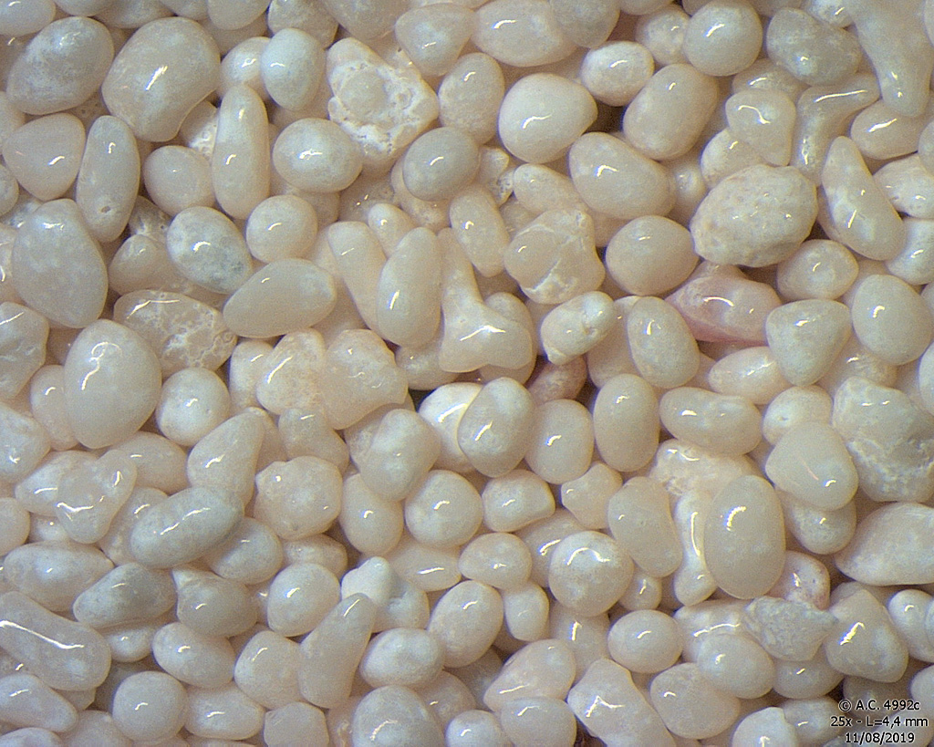 Bahamas - Archipel Exumas - Lee Stocking Cay