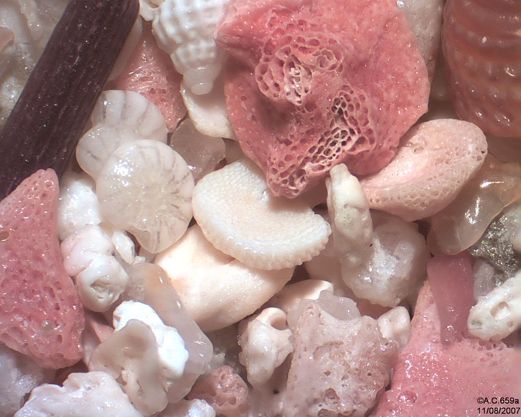 Italie - Sardaigne - Nuoro - Santa Lucia