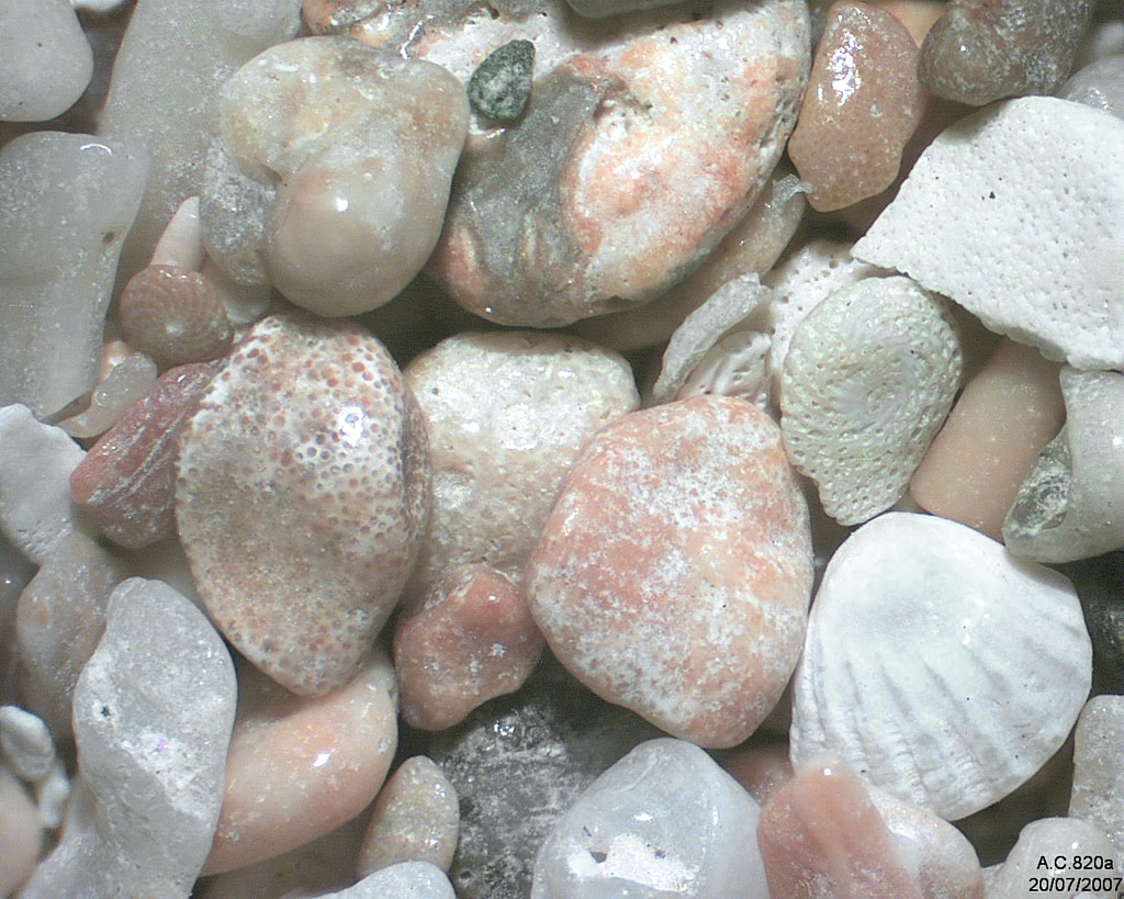 Porto Rico - Fajardo - Plage Seven Seas