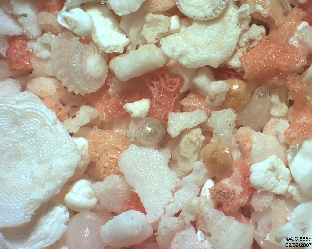 Polyn�sie Fran�aise - Tuamotu - Atoll Fakarava