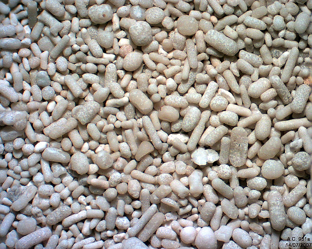 USA - Utah - Tooele - Stansburry Island - Grand Lac Sal�