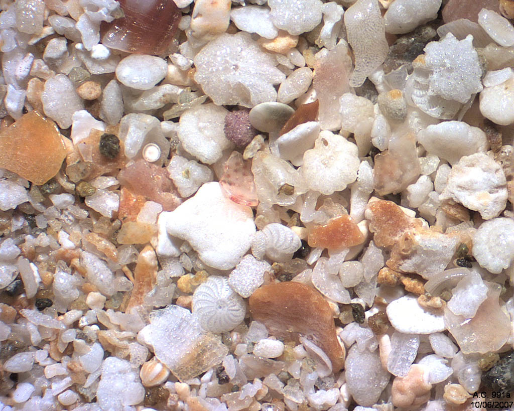 Myanmar (Birmanie) - Ngapali