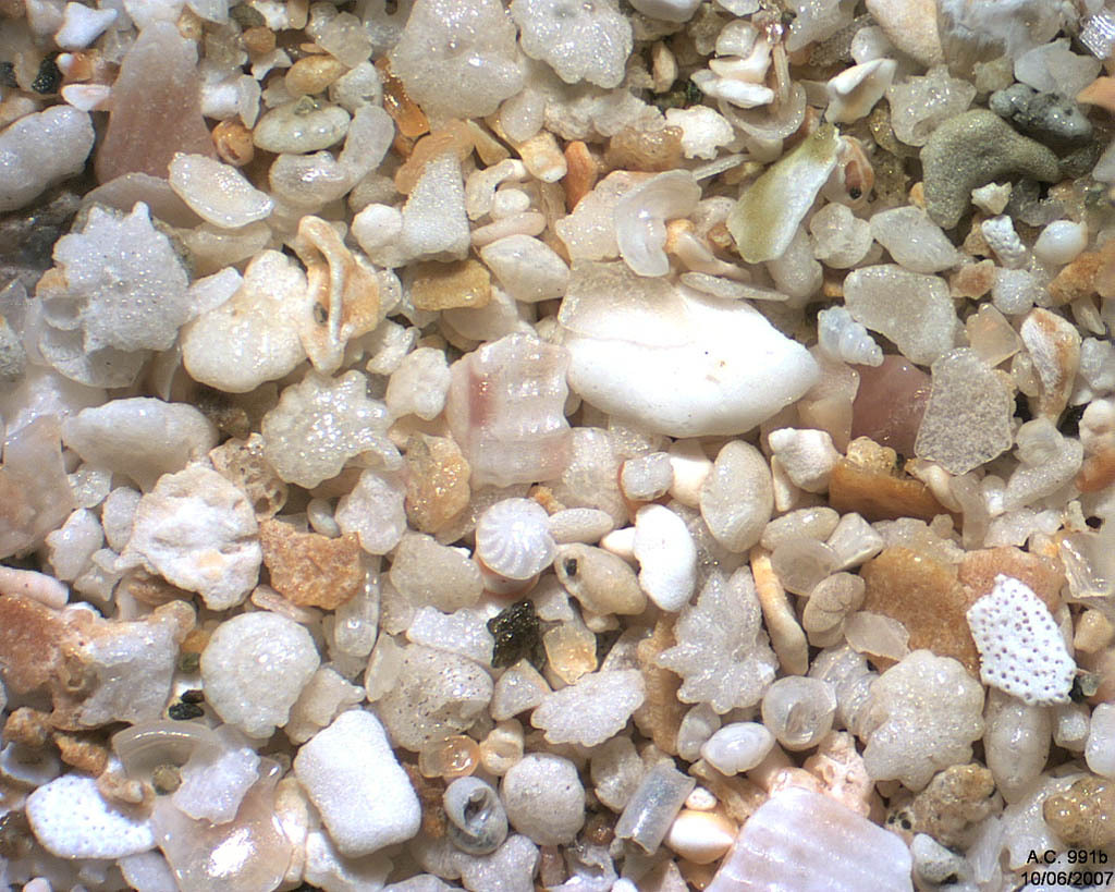 Myanmar (Birmanie) - Ngapali